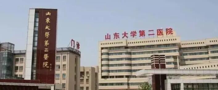 星空体育集团股份有限公司:美容仪十大品牌简介pptx(图1)